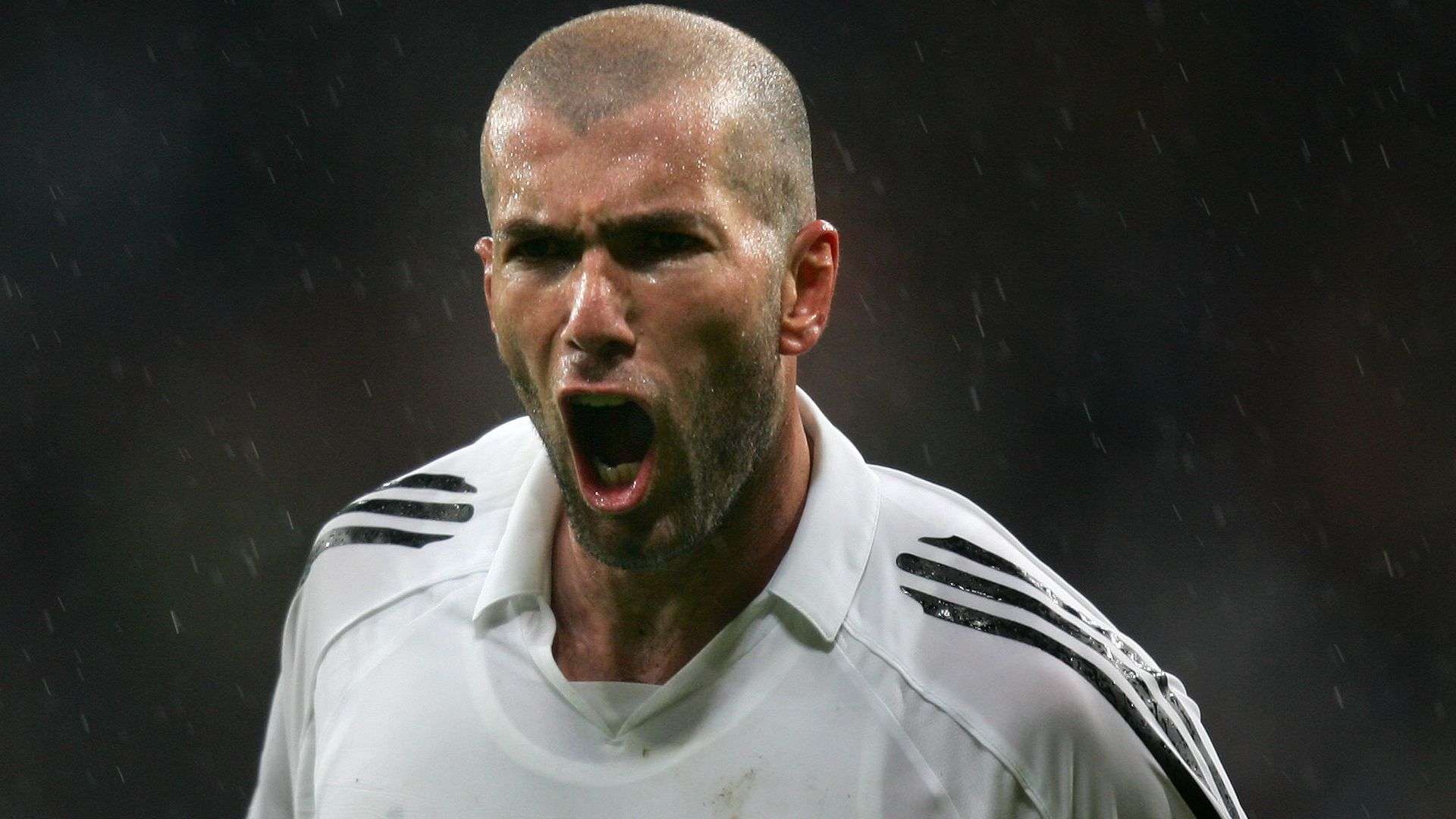 观众期待的 观众期待的