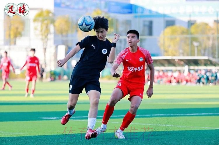 韩国“国脚摇篮”的转型阵痛！K联赛新军龙仁FC，机遇挑战并存